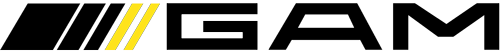 Automóviles GAM